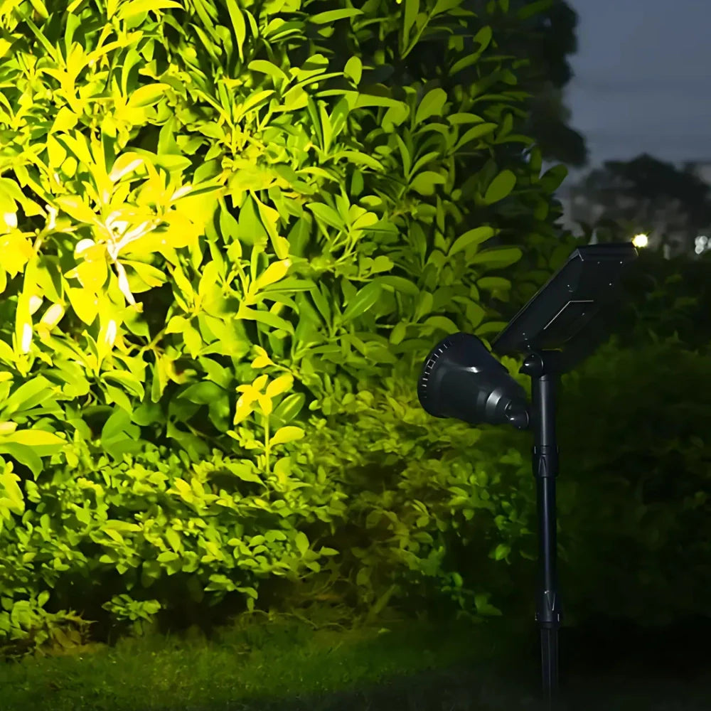 Solar Garden Pro Lights